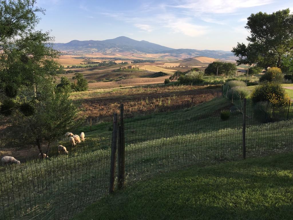 Villa Fonte All'Oppio Con Area Piscina Recintata Pienza Kültér fotó