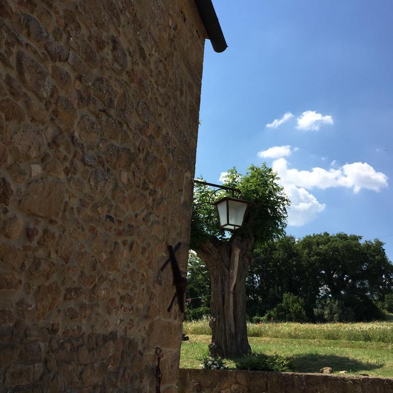 Villa Fonte All'Oppio Con Area Piscina Recintata Pienza Kültér fotó